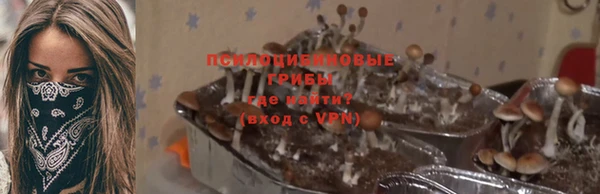 а пвп мука Горно-Алтайск