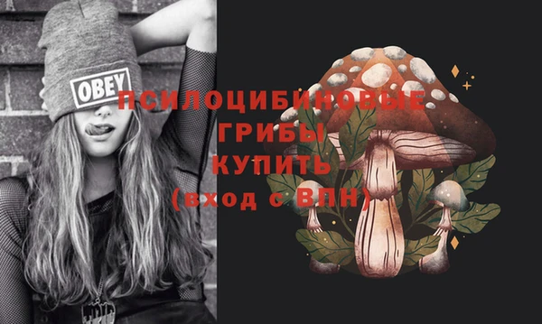ECSTASY Горнозаводск