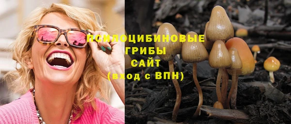 а пвп мука Горно-Алтайск