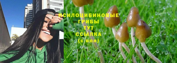 герыч Горняк