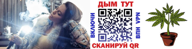 Купить где  Покров  Каннабис SATIVA & INDICA 